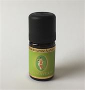 Frankencense 5 ml.